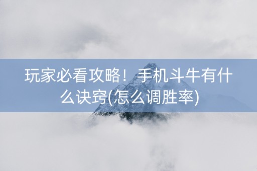 玩家必看攻略！手机斗牛有什么诀窍(怎么调胜率)