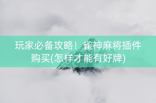 玩家必备攻略！雀神麻将插件购买(怎样才能有好牌)