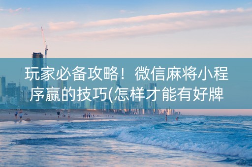 玩家必备攻略！微信麻将小程序赢的技巧(怎样才能有好牌)