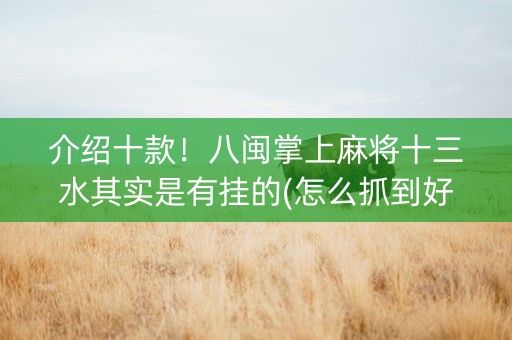 介绍十款！八闽掌上麻将十三水其实是有挂的(怎么抓到好牌)