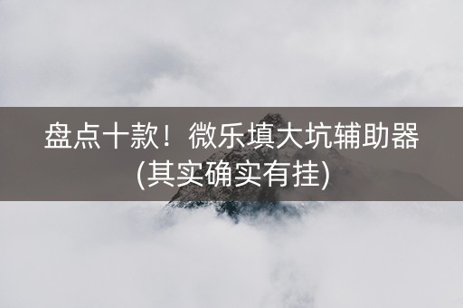 盘点十款！微乐填大坑辅助器(其实确实有挂)