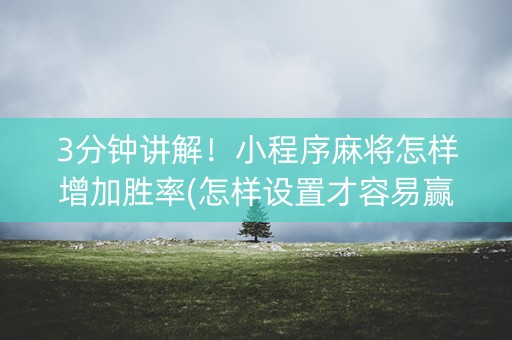 3分钟讲解！小程序麻将怎样增加胜率(怎样设置才容易赢)