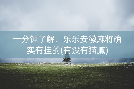 一分钟了解！乐乐安徽麻将确实有挂的(有没有猫腻)