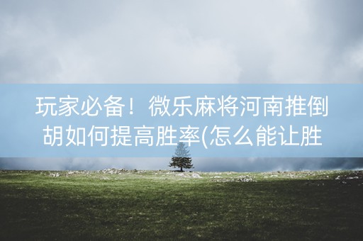 玩家必备！微乐麻将河南推倒胡如何提高胜率(怎么能让胜率高)