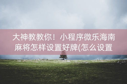 大神教教你！小程序微乐海南麻将怎样设置好牌(怎么设置胡牌)
