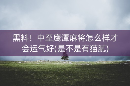 黑料！中至鹰潭麻将怎么样才会运气好(是不是有猫腻)