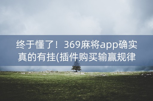 终于懂了！369麻将app确实真的有挂(插件购买输赢规律)
