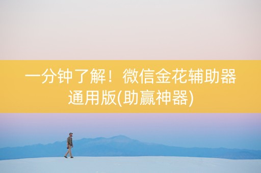 一分钟了解！微信金花辅助器通用版(助赢神器)