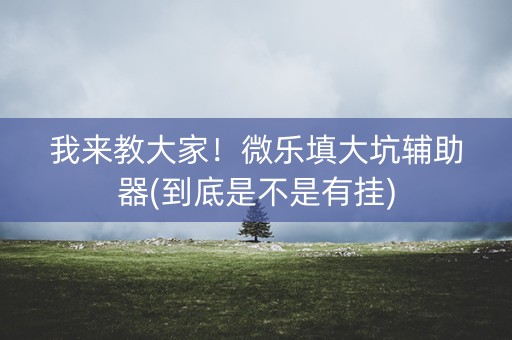 我来教大家！微乐填大坑辅助器(到底是不是有挂)