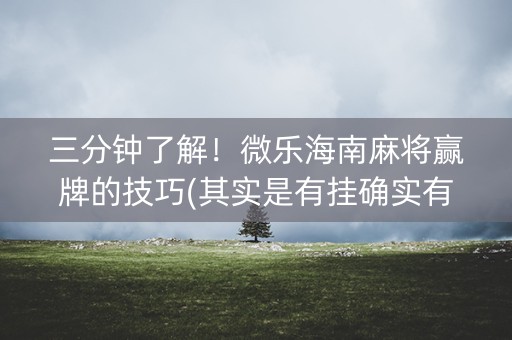 三分钟了解！微乐海南麻将赢牌的技巧(其实是有挂确实有挂)