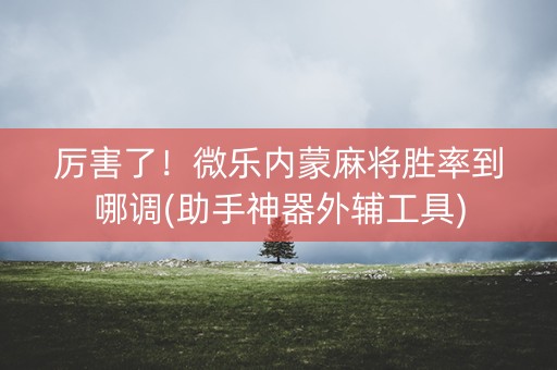 厉害了！微乐内蒙麻将胜率到哪调(助手神器外辅工具)