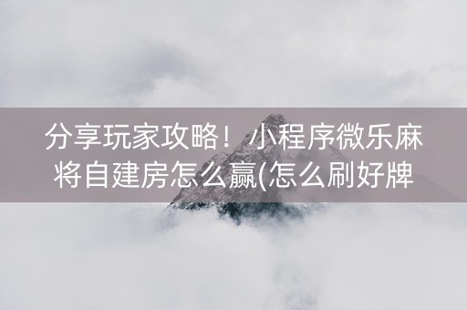分享玩家攻略！小程序微乐麻将自建房怎么赢(怎么刷好牌)