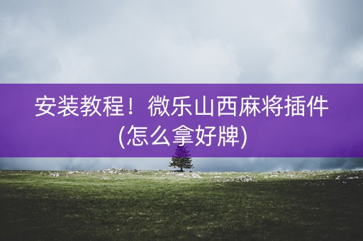 安装教程！微乐山西麻将插件(怎么拿好牌)