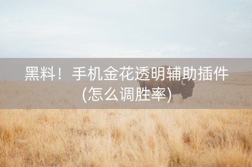 黑料！手机金花透明辅助插件(怎么调胜率)
