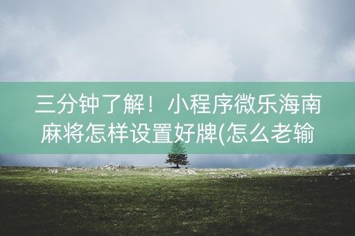 三分钟了解！小程序微乐海南麻将怎样设置好牌(怎么老输必备神器)
