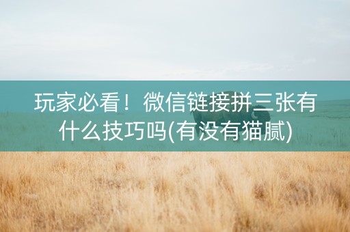 玩家必看！微信链接拼三张有什么技巧吗(有没有猫腻)