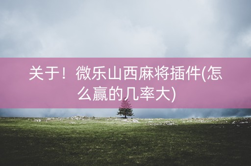 关于！微乐山西麻将插件(怎么赢的几率大)