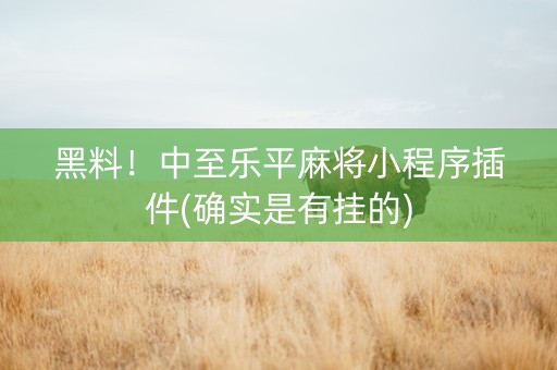 黑料！中至乐平麻将小程序插件(确实是有挂的)