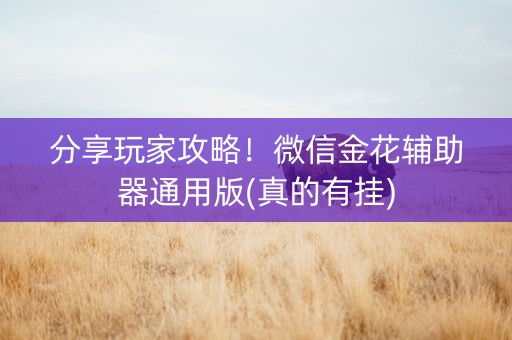 分享玩家攻略！微信金花辅助器通用版(真的有挂)