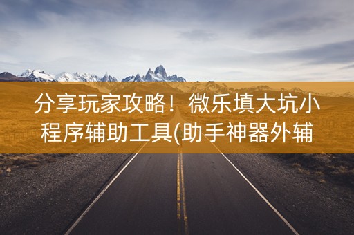 分享玩家攻略！微乐填大坑小程序辅助工具(助手神器外辅工具)