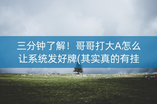 三分钟了解！哥哥打大A怎么让系统发好牌(其实真的有挂)