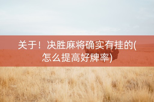 关于！决胜麻将确实有挂的(怎么提高好牌率)