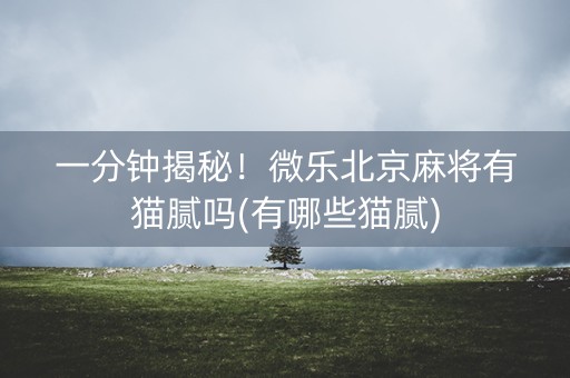 一分钟揭秘！微乐北京麻将有猫腻吗(有哪些猫腻)