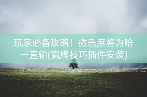 玩家必备攻略！微乐麻将为啥一直输(赢牌技巧插件安装)