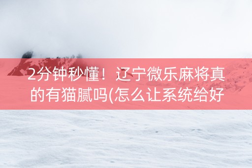 2分钟秒懂！辽宁微乐麻将真的有猫腻吗(怎么让系统给好牌)