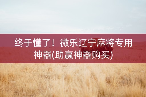 终于懂了！微乐辽宁麻将专用神器(助赢神器购买)