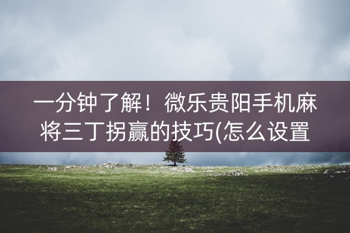 一分钟了解！微乐贵阳手机麻将三丁拐赢的技巧(怎么设置胡牌)