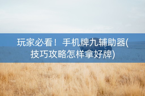 玩家必看！手机牌九辅助器(技巧攻略怎样拿好牌)