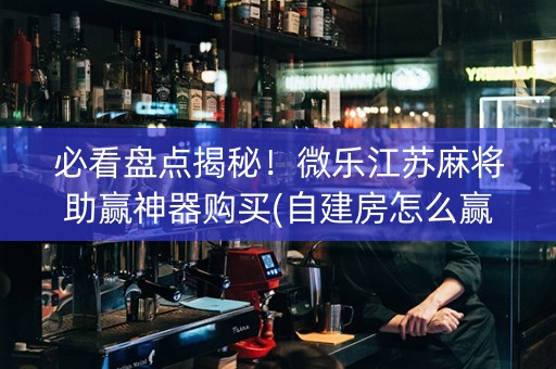 必看盘点揭秘！微乐江苏麻将助赢神器购买(自建房怎么赢)