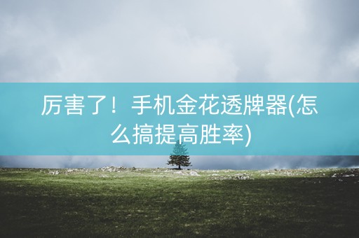 厉害了！手机金花透牌器(怎么搞提高胜率)