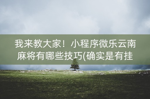 我来教大家！小程序微乐云南麻将有哪些技巧(确实是有挂的)