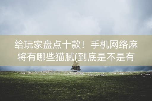 给玩家盘点十款！手机网络麻将有哪些猫腻(到底是不是有挂)