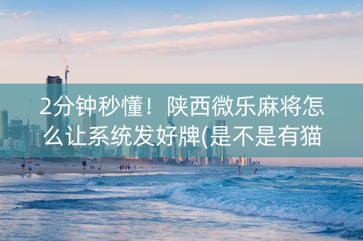 2分钟秒懂！陕西微乐麻将怎么让系统发好牌(是不是有猫腻)
