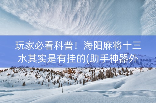 玩家必看科普！海阳麻将十三水其实是有挂的(助手神器外辅工具)