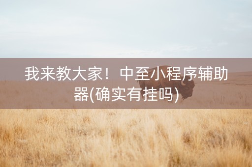 我来教大家！中至小程序辅助器(确实有挂吗)