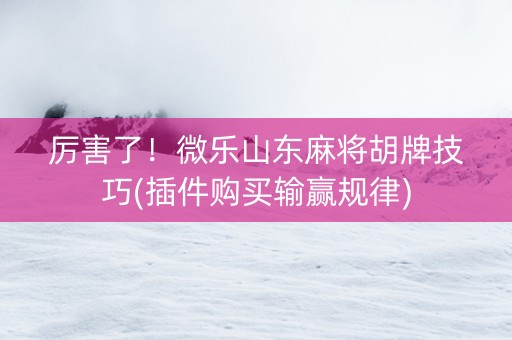 厉害了！微乐山东麻将胡牌技巧(插件购买输赢规律)