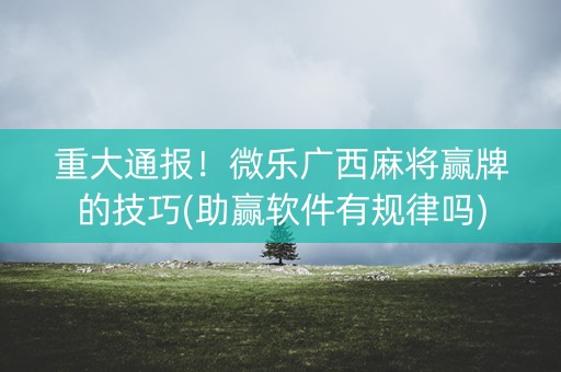 重大通报！微乐广西麻将赢牌的技巧(助赢软件有规律吗)