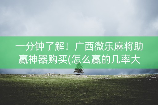 一分钟了解！广西微乐麻将助赢神器购买(怎么赢的几率大)