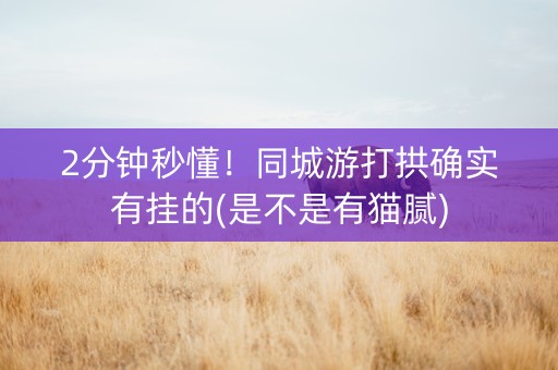 2分钟秒懂！同城游打拱确实有挂的(是不是有猫腻)