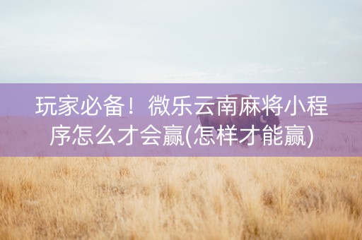 玩家必备！微乐云南麻将小程序怎么才会赢(怎样才能赢)