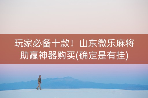 玩家必备十款！山东微乐麻将助赢神器购买(确定是有挂)