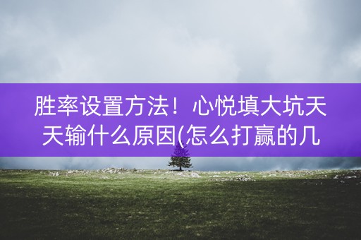 胜率设置方法！心悦填大坑天天输什么原因(怎么打赢的几率大)