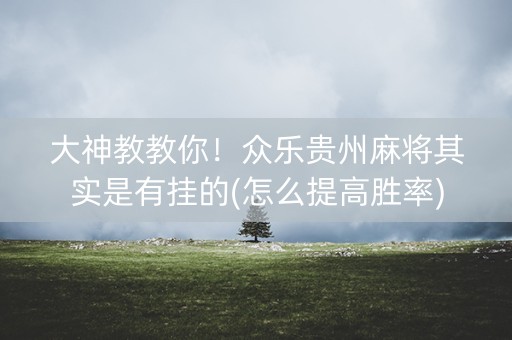 大神教教你！众乐贵州麻将其实是有挂的(怎么提高胜率)