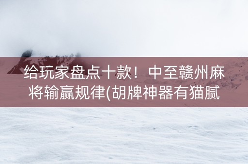 给玩家盘点十款！中至赣州麻将输赢规律(胡牌神器有猫腻吗)