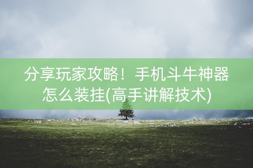 分享玩家攻略！手机斗牛神器怎么装挂(高手讲解技术)
