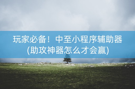 玩家必备！中至小程序辅助器(助攻神器怎么才会赢)